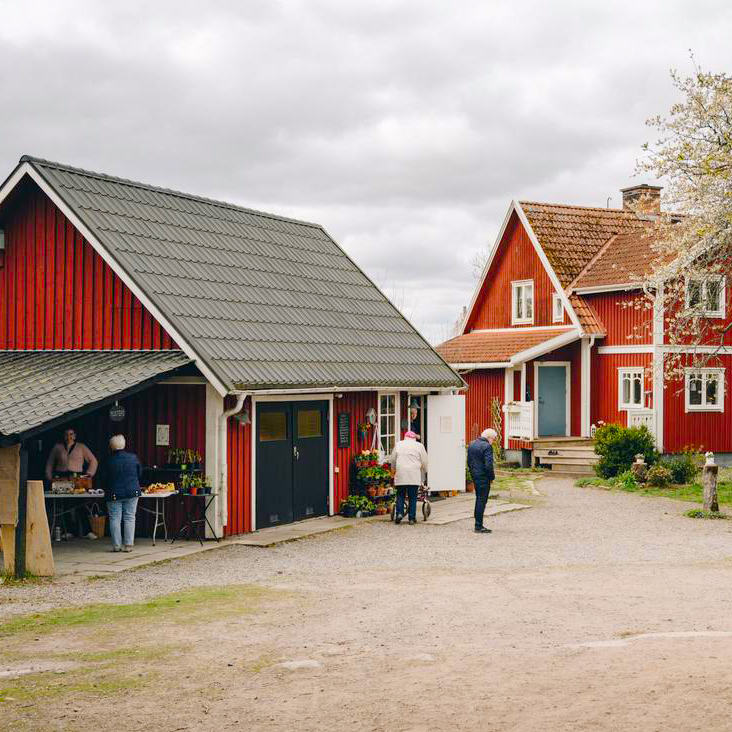 Gardsrundan loaklev lustgard