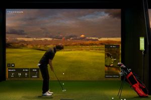 Indoor golf