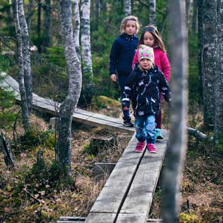 Roadtrip småland trollstigen vandringsled